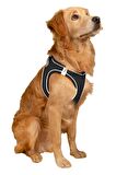 Mita Air Mesh Kedi Köpek Göğüs Tasması Çift Reflektörlü, Terletmeyen Saks Mavisi / Blue